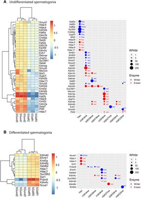 Transcriptome profiling of histone writers/erasers enzymes across spermatogenesis, mature sperm and pre-cleavage embryo: Implications in paternal epigenome transitions and inheritance mechanisms